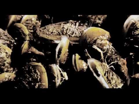 Hexic HD Underlow Remix