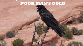 Jamestown Revival-Poor Man&#39;s Gold