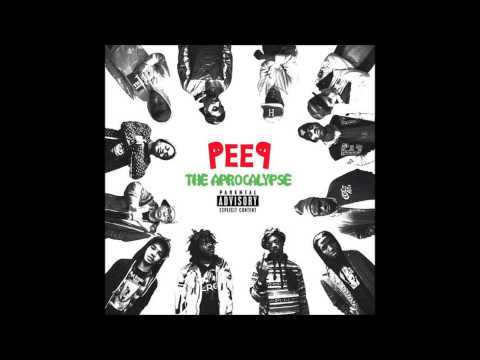 Run or Fly -- Joey Bada$$, Dirty Sanchez, CJ Fly, Capital STEEZ