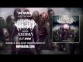 Walking Dead On Broadway - Aeshma 