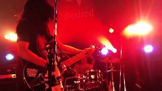 Vibedred @Kyoto MUSE 2011/4/16