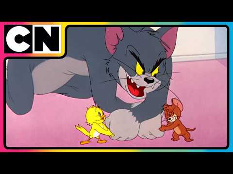 Tom and Jerry ????????| The Duo of Destruction! ????| Compilation | Cat and Mouse Cartoon | @cnindia
