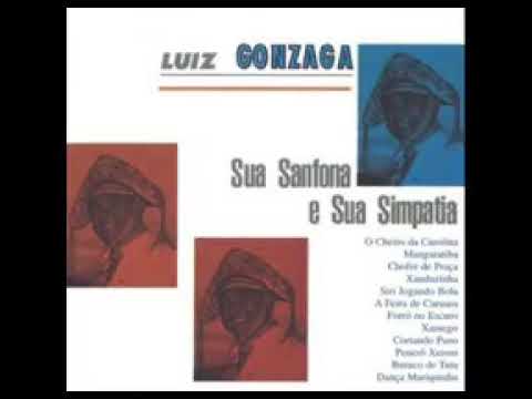 O cheiro de Carolina- Luiz Gonzaga