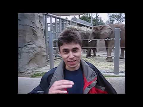 Me at the zoo - jawed