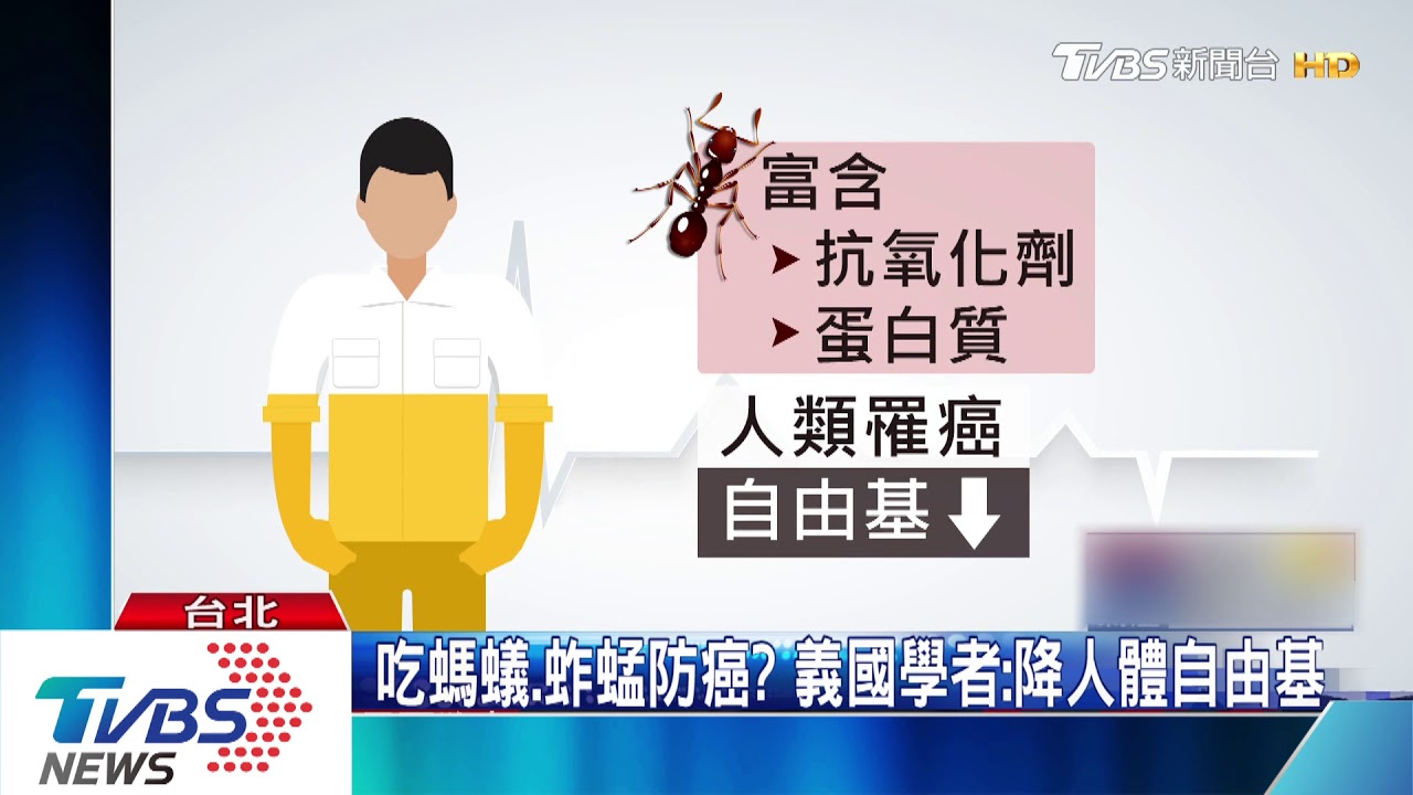 吃螞蟻、蚱蜢防癌? 義國學者:降人體自由基