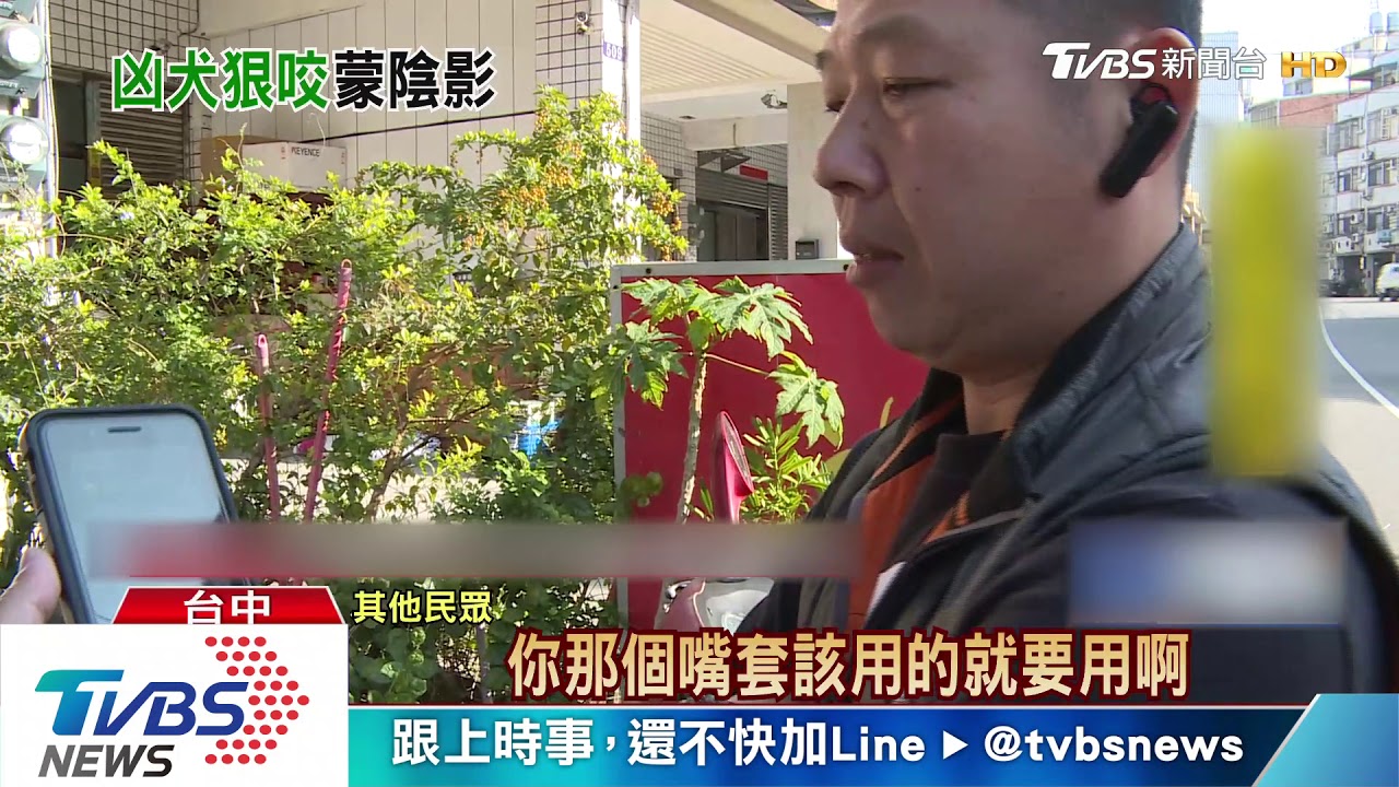 40kg大狗遭比特犬拖咬 飼主遭批沒牽繩