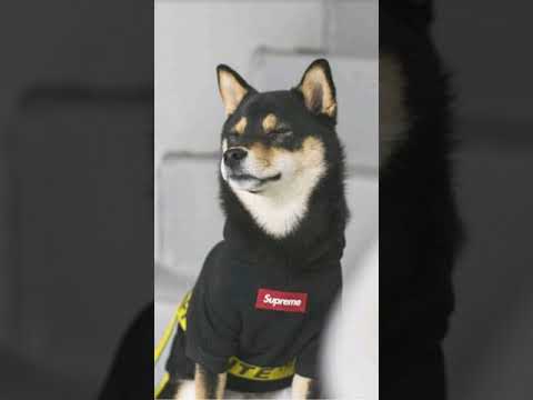 EL TOKE  - Dylan Fuentes Ft Nio Garcia