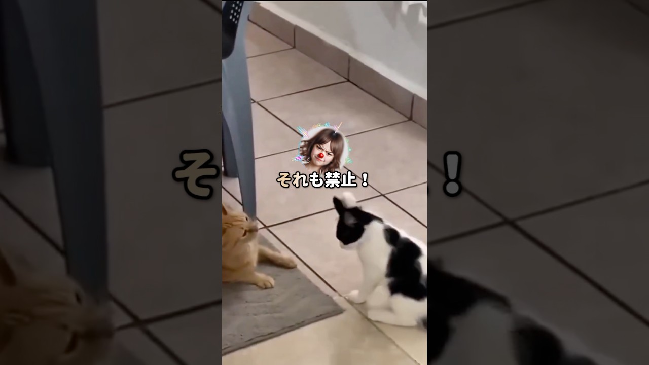 【スカッと】「文房具で遊ぶのはナシ！」バトエン以外の物も奪い去った前田さんの末路ｗ