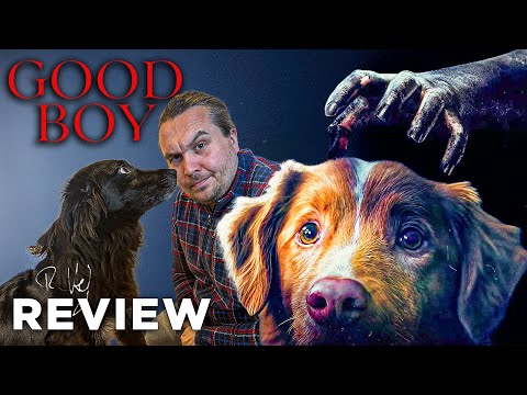 GOOD BOY Kritik Review (2025)