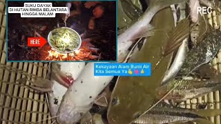 Download lagu Suku DAYAK Mencari Masak Makan Ikan di Hutan Belantara Kalimantan Hingga Larut Malam‼️ mp3 Download lagu Suku DAYAK Mencari Masak Makan Ikan di Hutan Belantara Kalimantan Hingga Larut Malam‼️ mp3