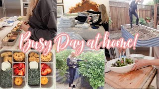 BUSY DAY AT HOME // REMOVING MY GARDEN, CLEANING, COOKING SOUTHWEST SALAD