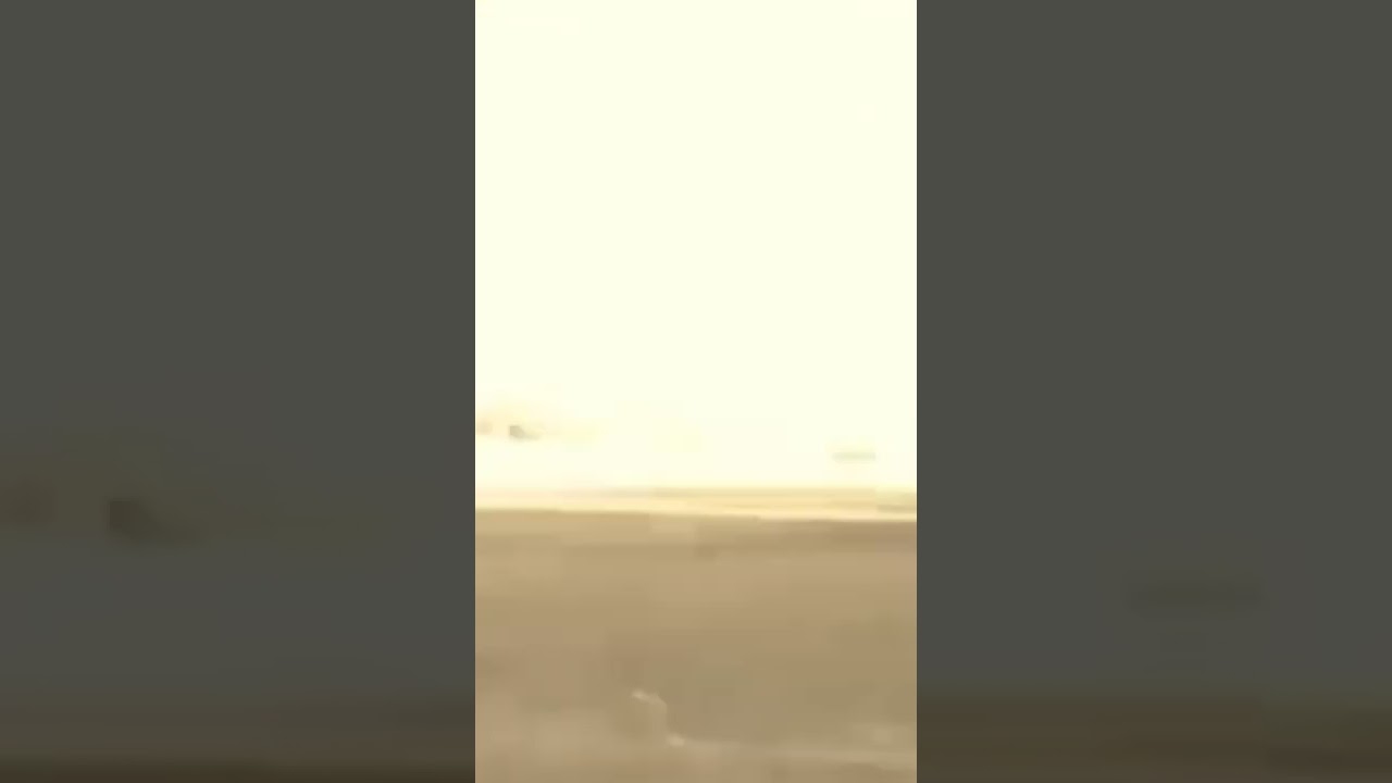 here some Zero Two memes