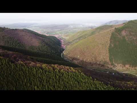 2022 04 Valea Caselor