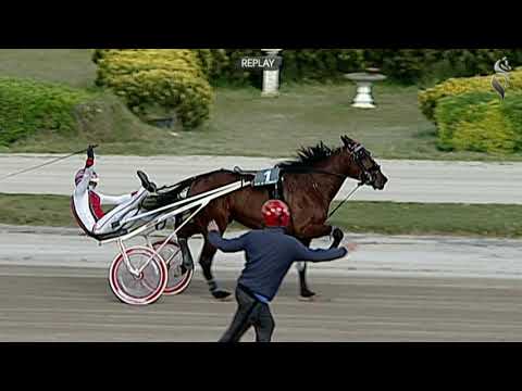 Aversa trotto 10 Aprile 2021 - 6° Corsa