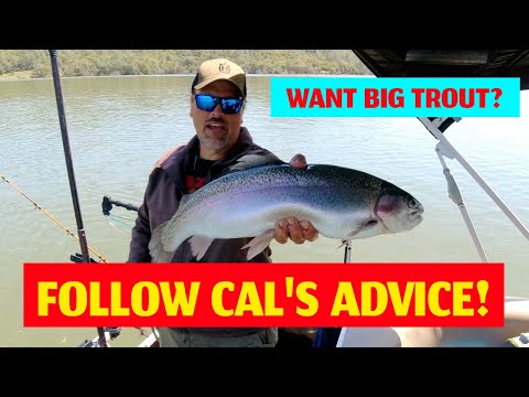 How To Catch Collins Lake Rainbows: Trout Fishing Strategy With Cal Kellogg #fishing #trout