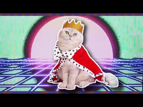 Moron Police - King Among Kittens (Music Video)