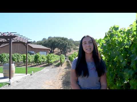image-Who owns Zaca Mesa?