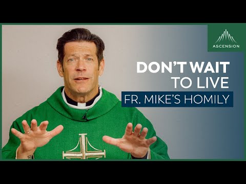 "A Matter of Perspective" + 4th Sunday in Ordinary Time (Fr. Mike's Homily)