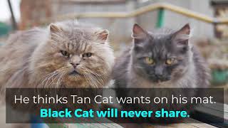 Phonics Poems: Short /a/ "Black Cat, Tan Cat"