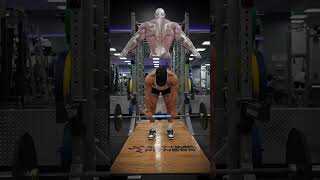 Barbell Row Grip Widths & Muscles Worked!