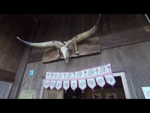 II motopasseggiata Honda Centinaro