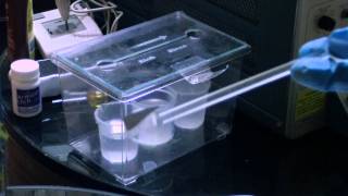 Making Microchips at Home - Cooking with Jeri Part1