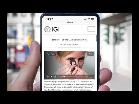 IGI: New Digital Report Platform