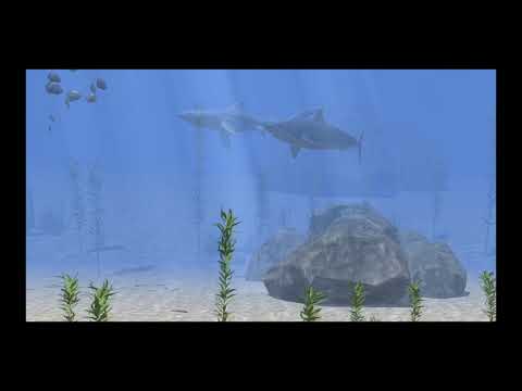 Ocean View AR - Underwater Exp