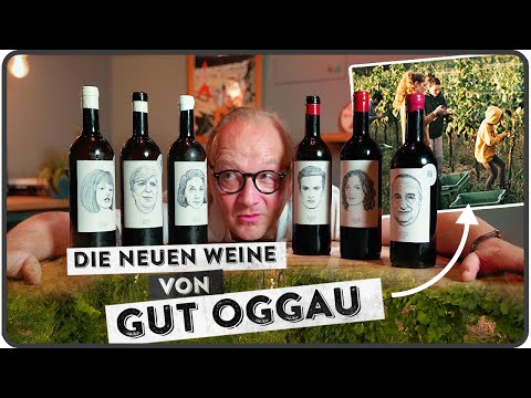 Die beliebteste Familie der Weinwelt - Gut Oggau neu im Weinpool - 5 MINUTEN FÜR WEIN AM LIMIT