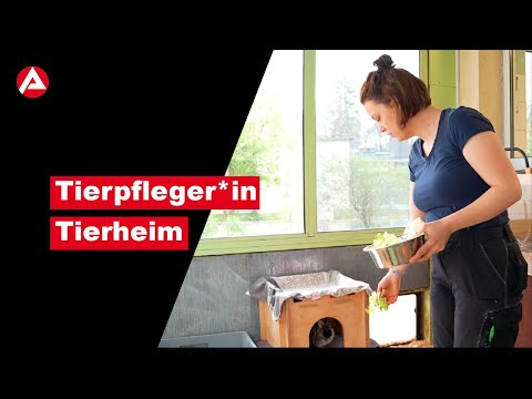 Tierpfleger*in Tierheim und Tierpension