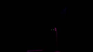 Merzbow @ Archa Divadlo, Prague (24/3/2009) Part 5/10