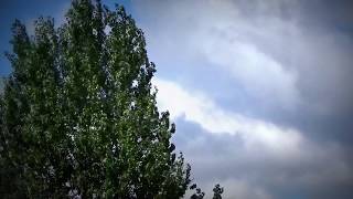 Arcangelo Corelli - Capella Istropolitana video