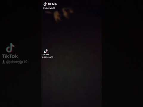 29 de octubre de 2025