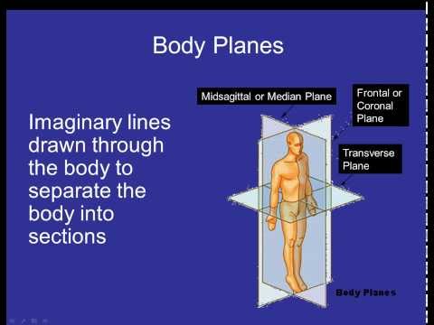 Body Planes, Directions and Cavities video