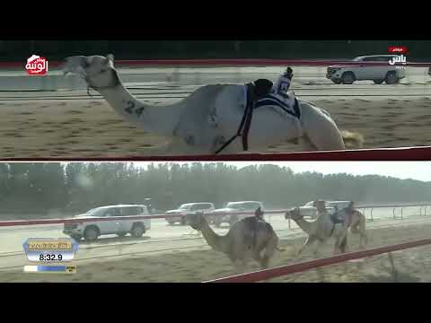 ش 12 (واضح) لـ هجن الشحانية 12:35:20 ، ختامي المرموم 2026/03/29 حول زمول