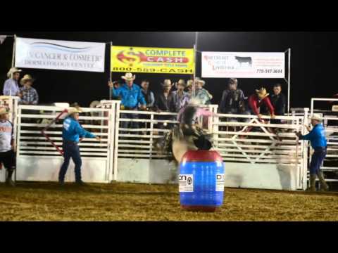 A bull rider at the Calhoun rodeo
