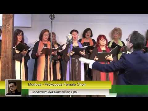 Morfova - Prokopova Female Choi