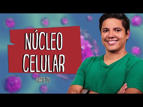 CELL NUCLEUS - Part 01 - Prof. Kennedy Ramos