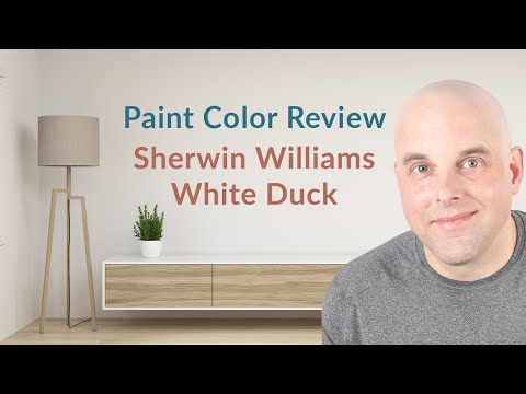 Sherwin Williams White Duck Color Review