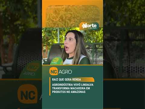Da agricultura familiar para a mesa, a macaxeira vira produto e renda no Amazonas.