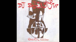 DJ Shadow - In/Flux
