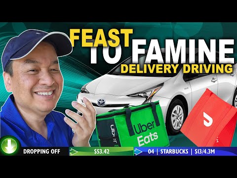 DoorDash Feast To Famine: Dasher Offers  | EP24-084 #doordashdasher