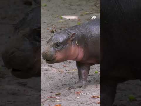 Cuteness alert: Meet 