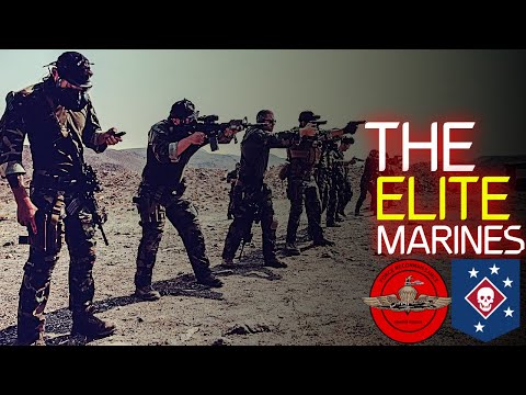 The ELITE Special Operations Forces Of The USMC