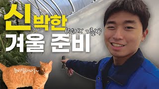 스물여섯 청년농부의 겨울준비