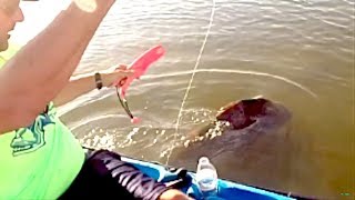 BIG BLACK DRUM -  lighthouse lakes Aransas Pass Texas