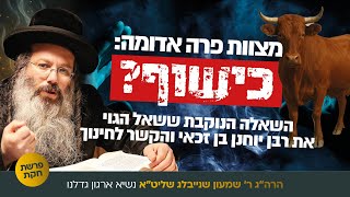 "מצוות פרה אדומה" | הרה"ג רבי שמעון שנייבלג שליט”א בדבר חינוך אקטואלי | פרשת חקת