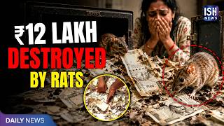 Rats Ate Rs. 12 Lakh Cash Saved Secretly by Wife for 8 Years