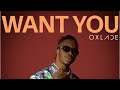 Oxlade - Want You ( Official Audio)