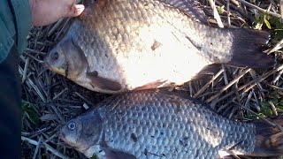 Ловля рыбы в кустанайской области